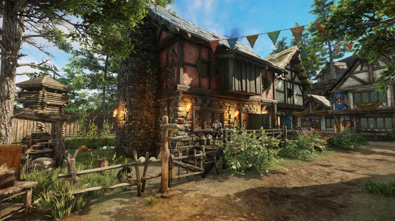 New World explores player housing